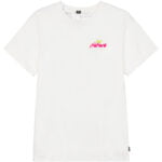 Mts1024 100 2.jpg Mts1024 100 2.jpg