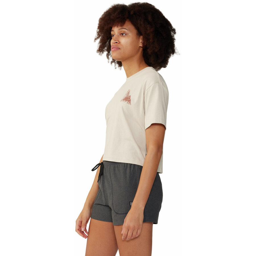 JAGGED PEAK BOXY CROP S/S JAGGED PEAK BOXY CROP S/S