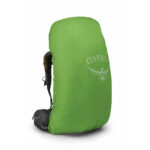 Atmosag65 010 3.jpg