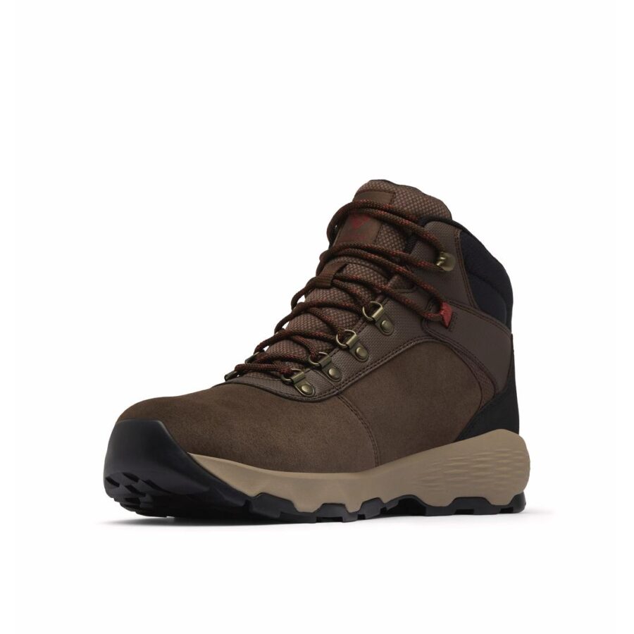 NEWTON WANDER M