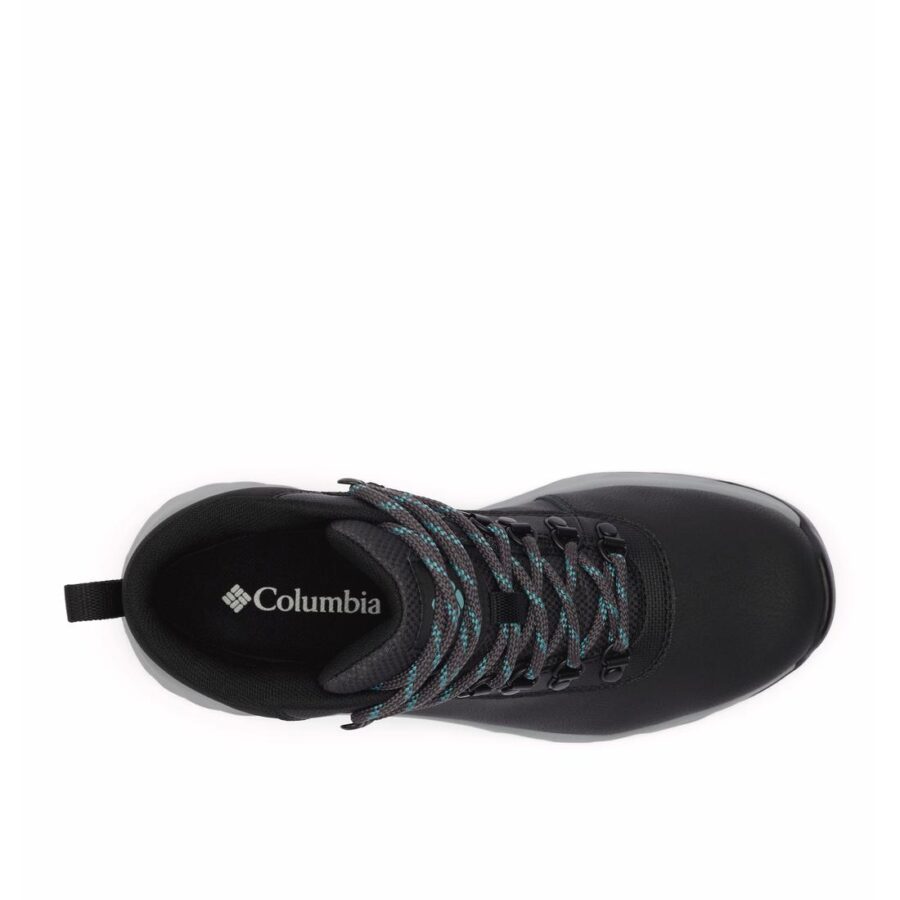 NEWTON WANDER LTR W