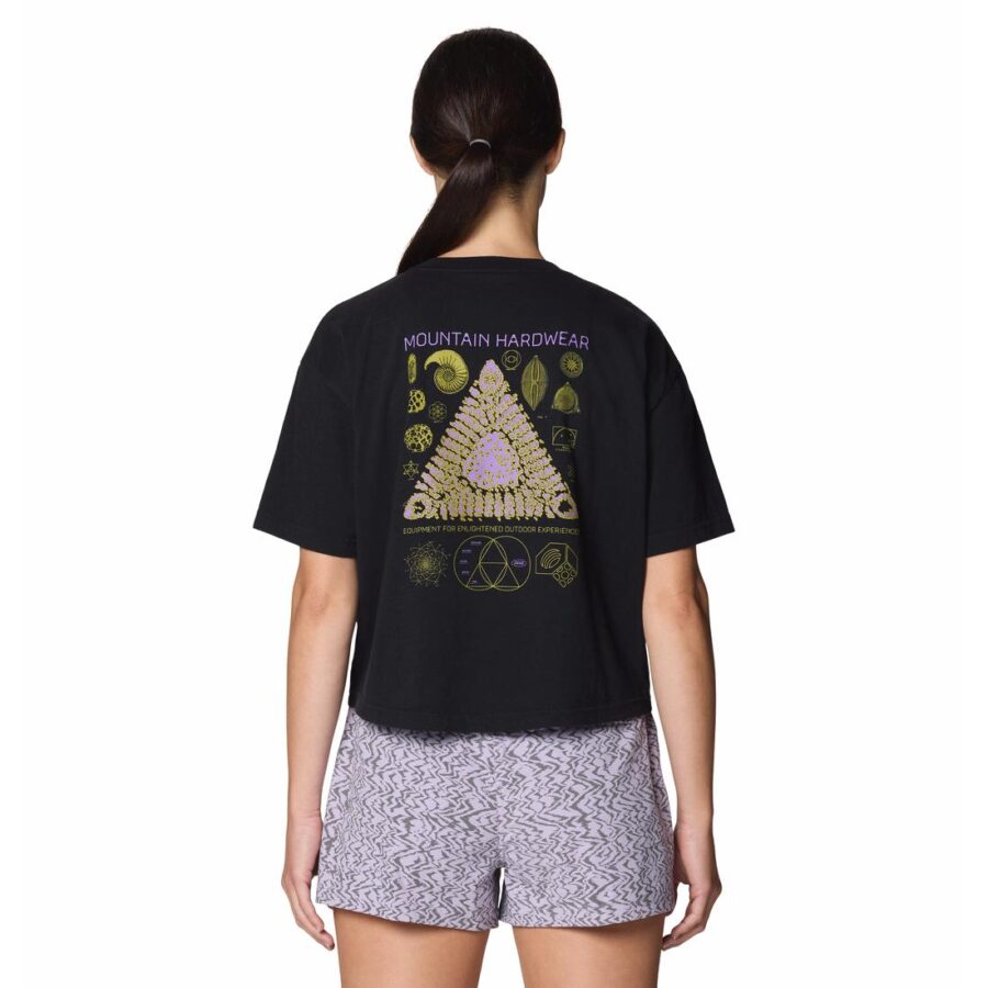 WILD STRUCTURE W BOXY CROP WILD STRUCTURE W BOXY CROP