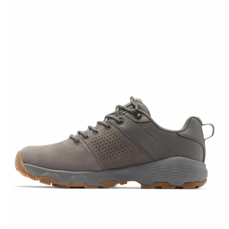 NEWTON NIMBLE LTR