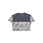 Kavu2242 182 4.jpg Kavu2242 182 4.jpg
