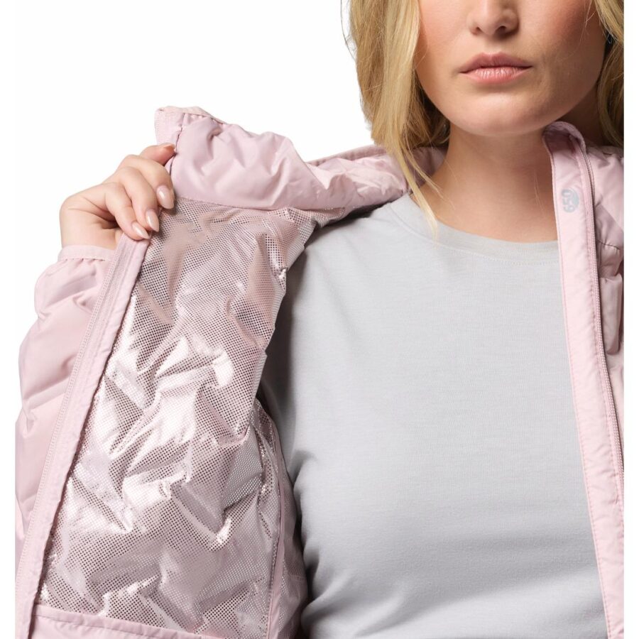 DELTA RIDGE II DOWN HOOD JKT W