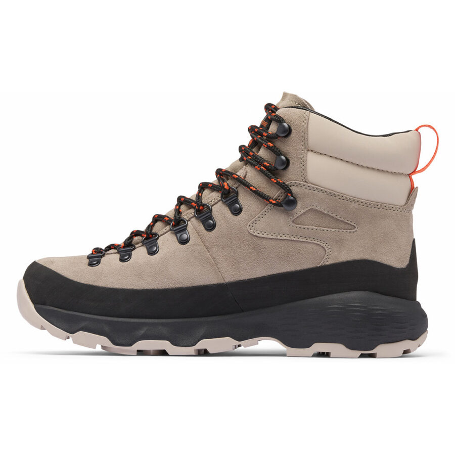 NEWTON ALPINE PT M NEWTON ALPINE PT M